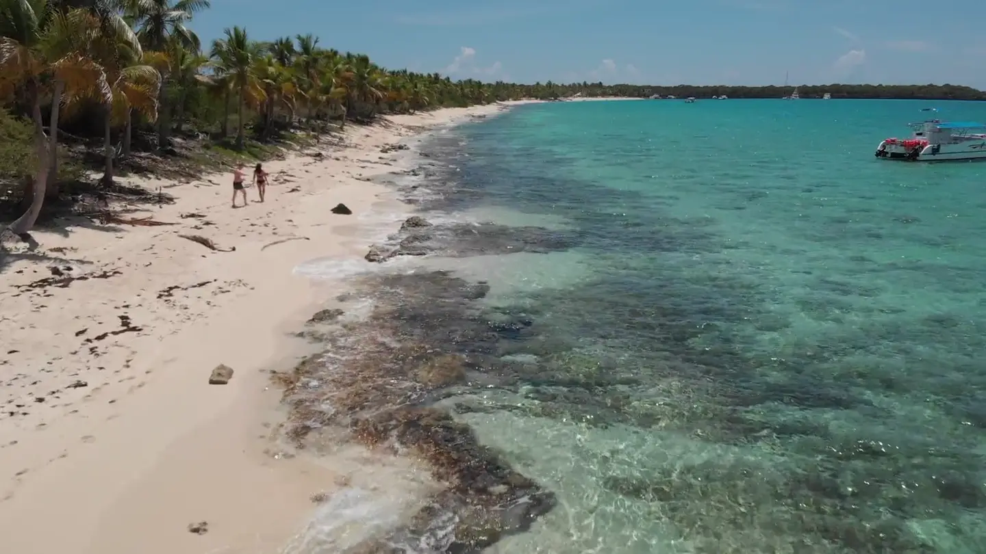 Tropical beach